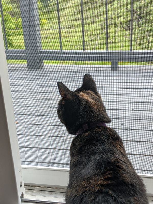 Common Screen Door Problems And Repairs