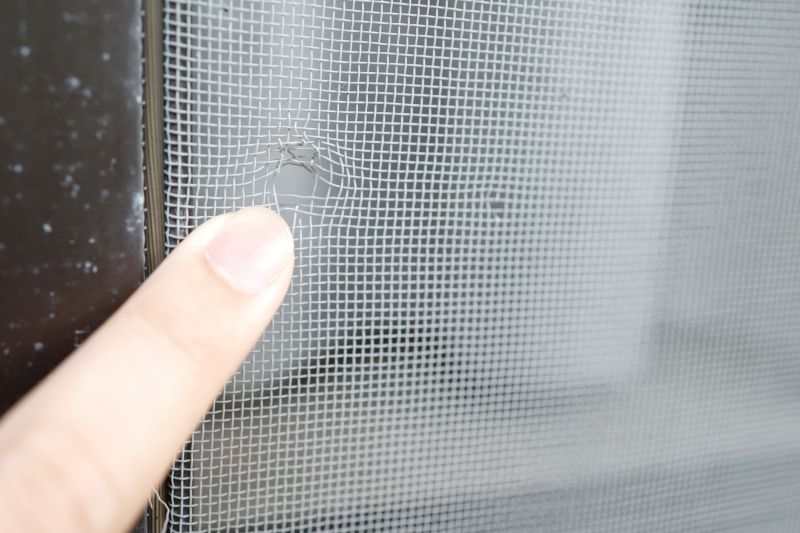 Door Screen Repair