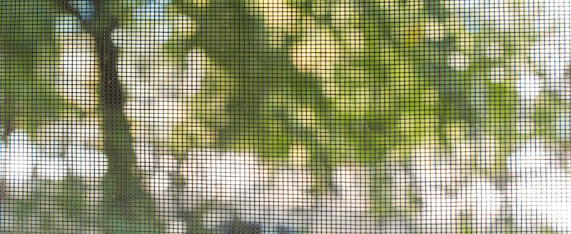 When To Repair Vs Replace A Screen Door